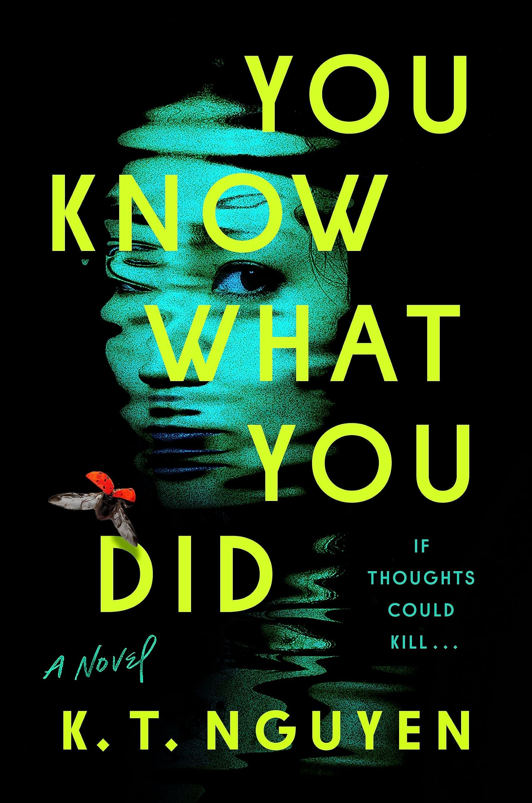 You Know What You Did book cover