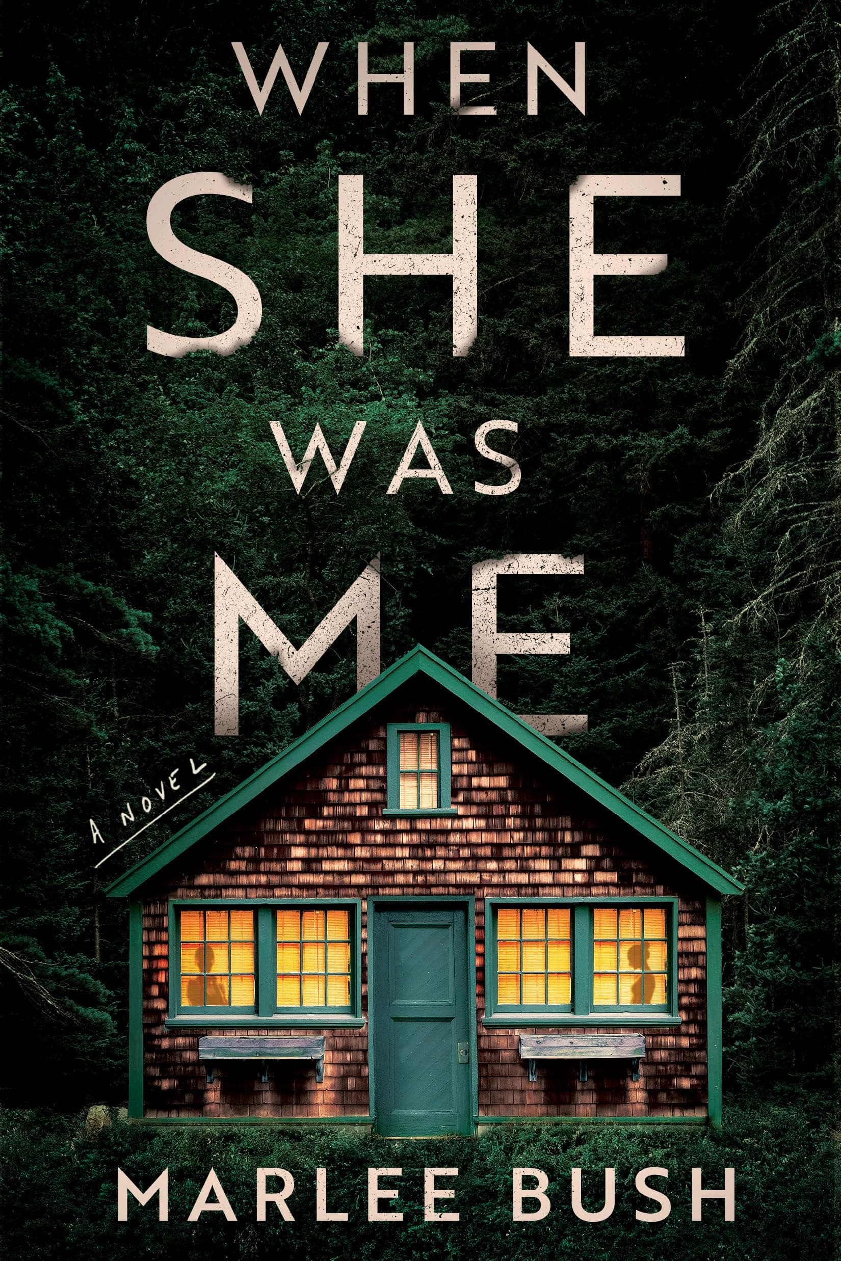 When She Was Me book cover