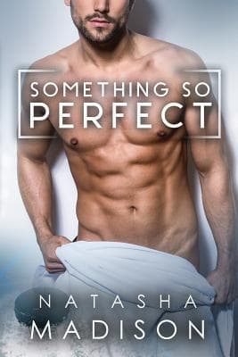 Something So Perfect book cover