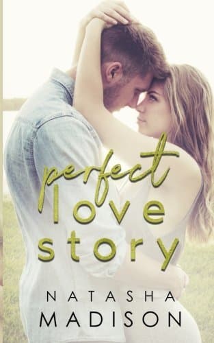 Perfect Love Story book cover