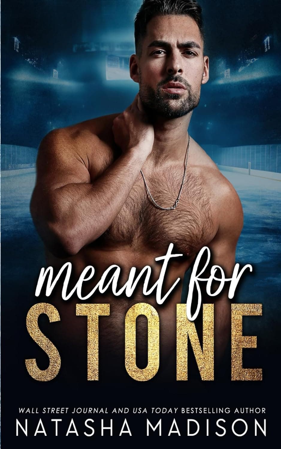 Meant for Stone book cover