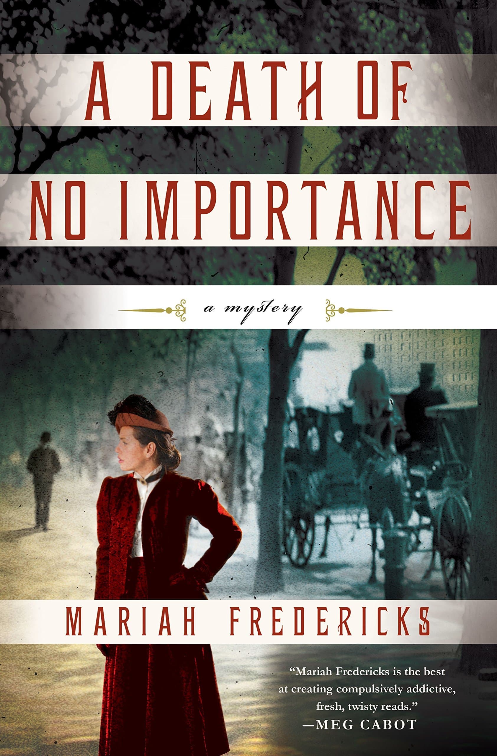 A Death of No Importance book cover
