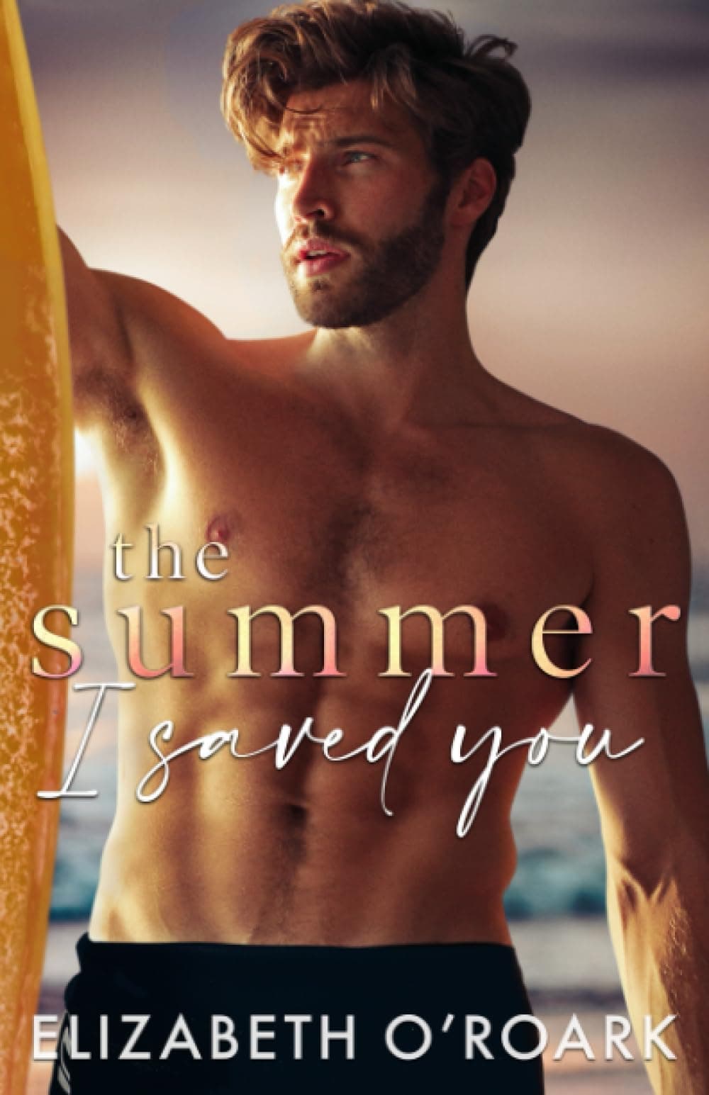 The Summer I Saved You book cover