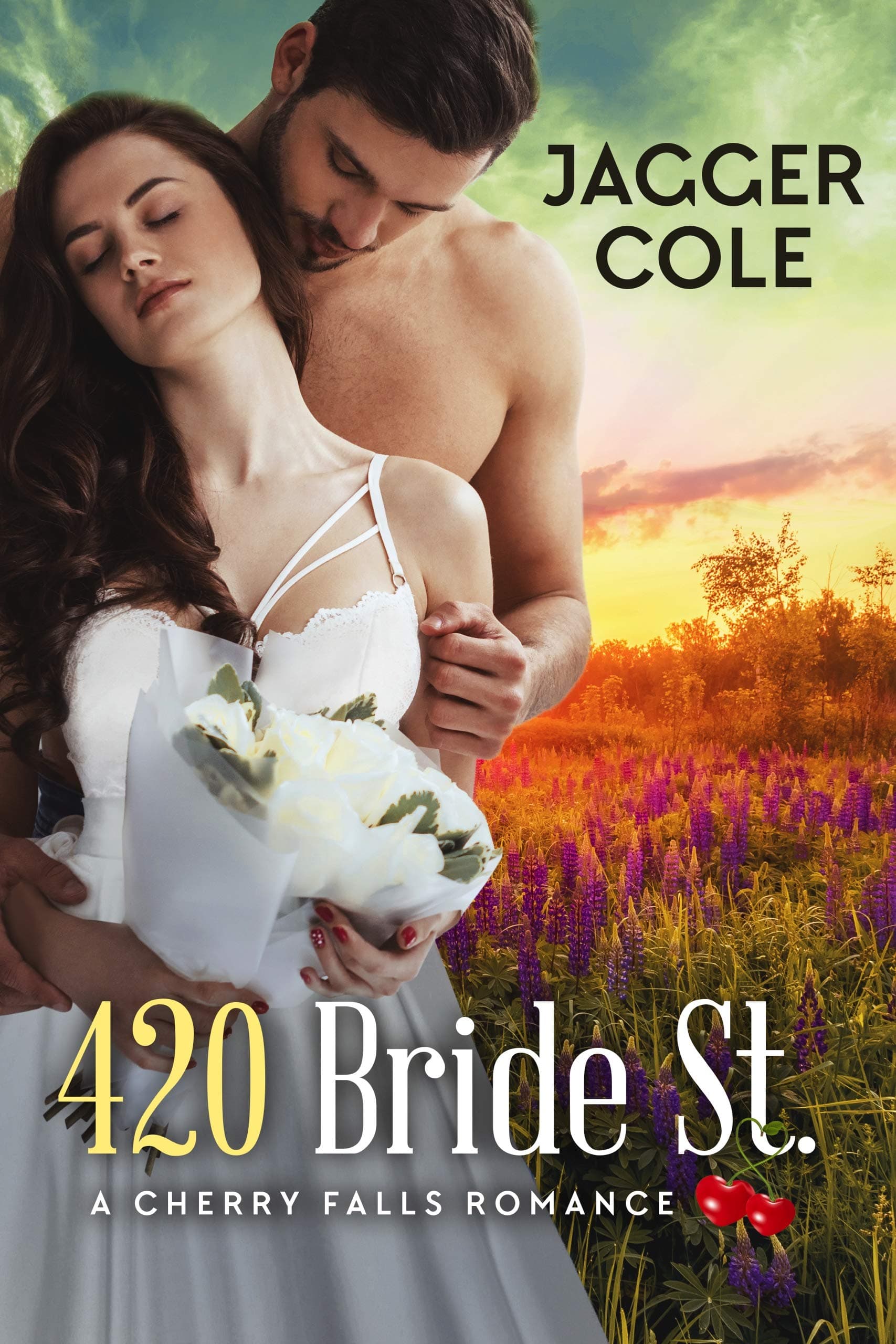420 Bride Street book cover