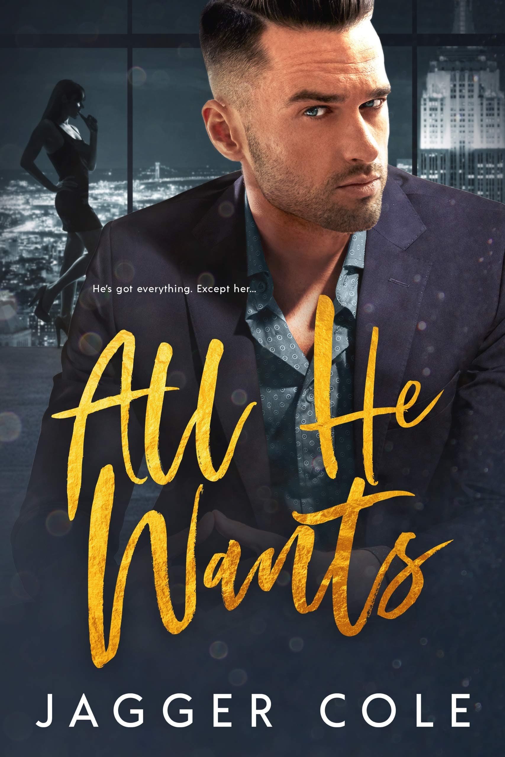 All He Wants book cover