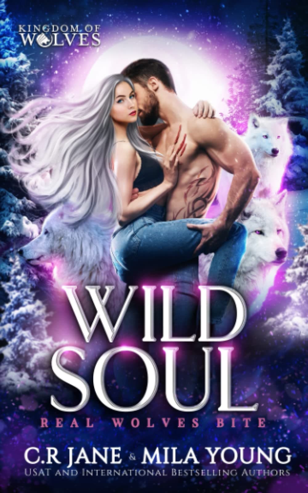 Wild Soul book cover