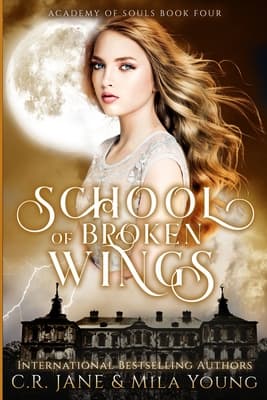 School of Broken Wings