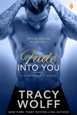 Fade Into You book cover