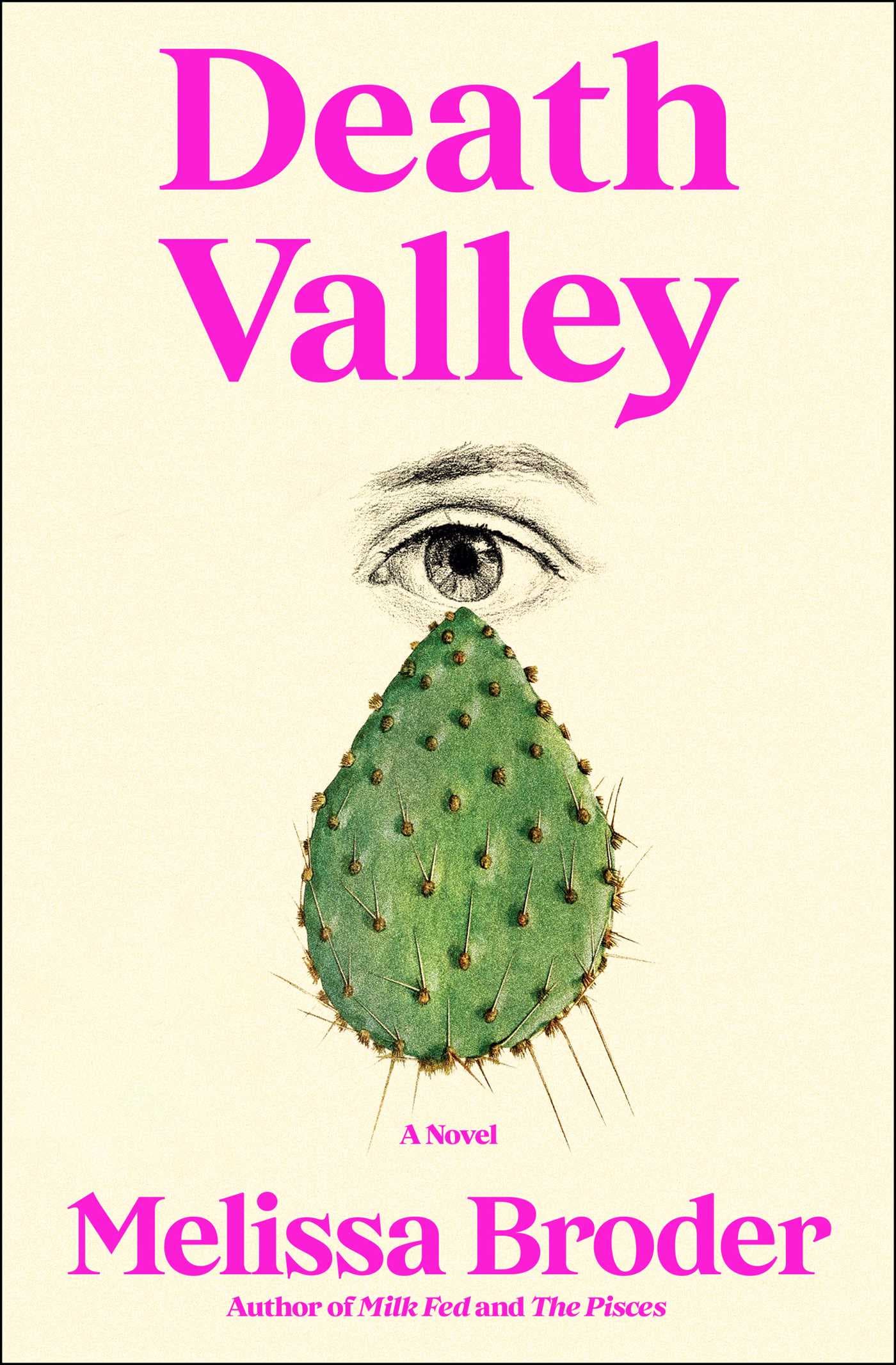 Death Valley book cover