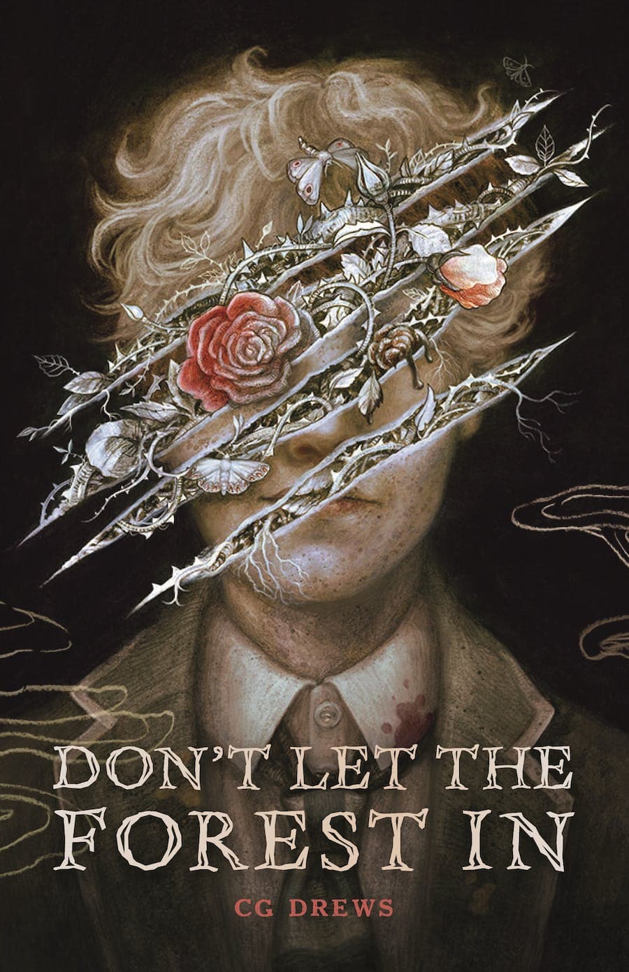 Don't Let the Forest In book cover