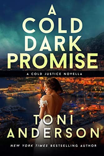 A Cold Dark Promise book cover