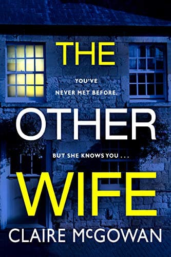 The Other Wife book cover