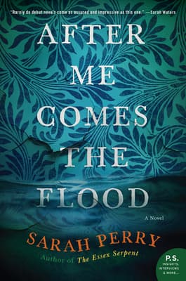After Me Comes the Flood book cover