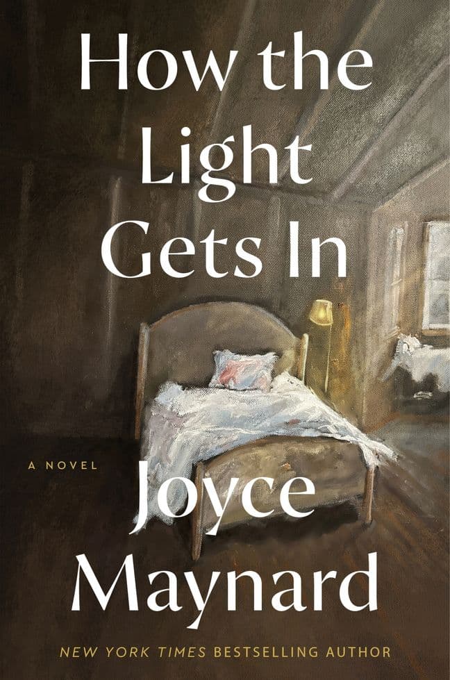 How the Light Gets In book cover
