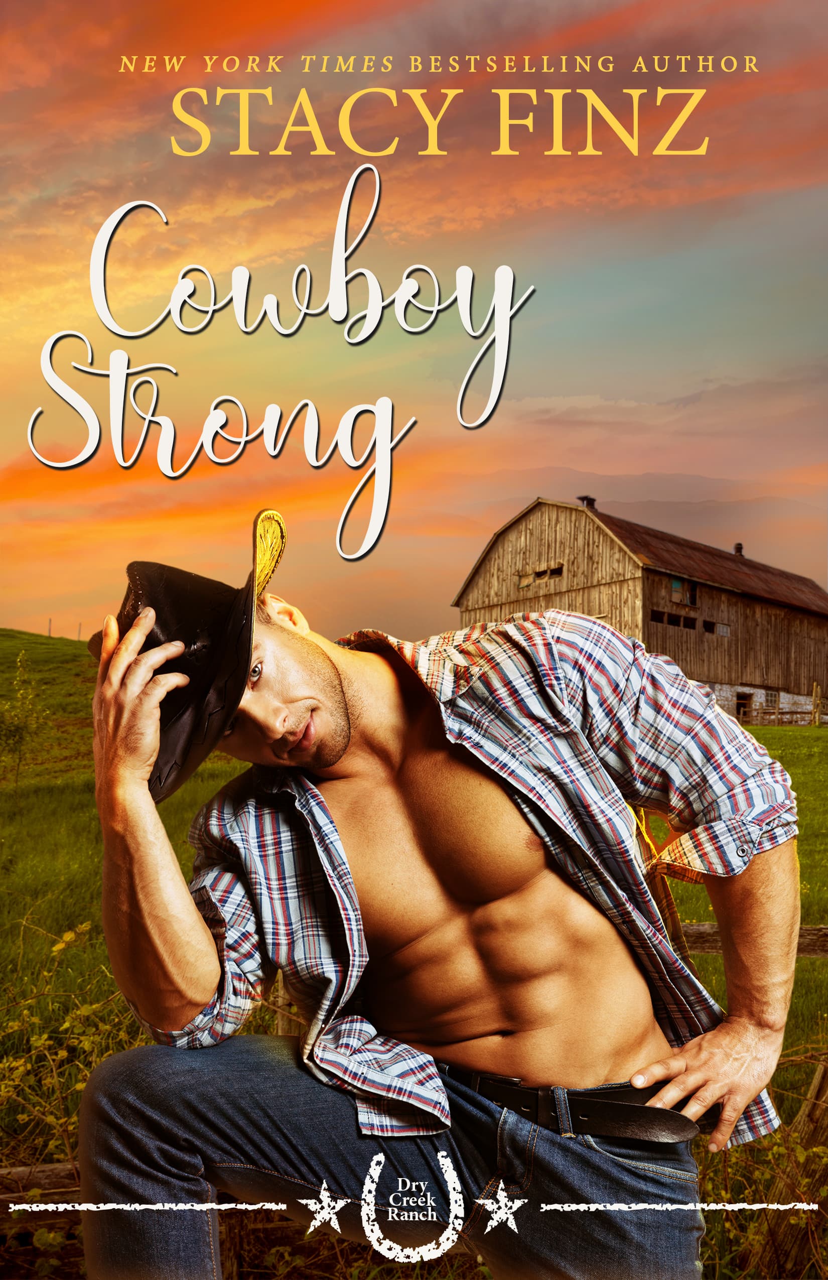 Cowboy Strong book cover