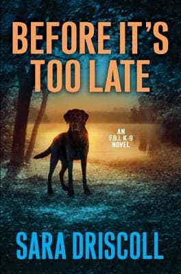 Before It's Too Late book cover