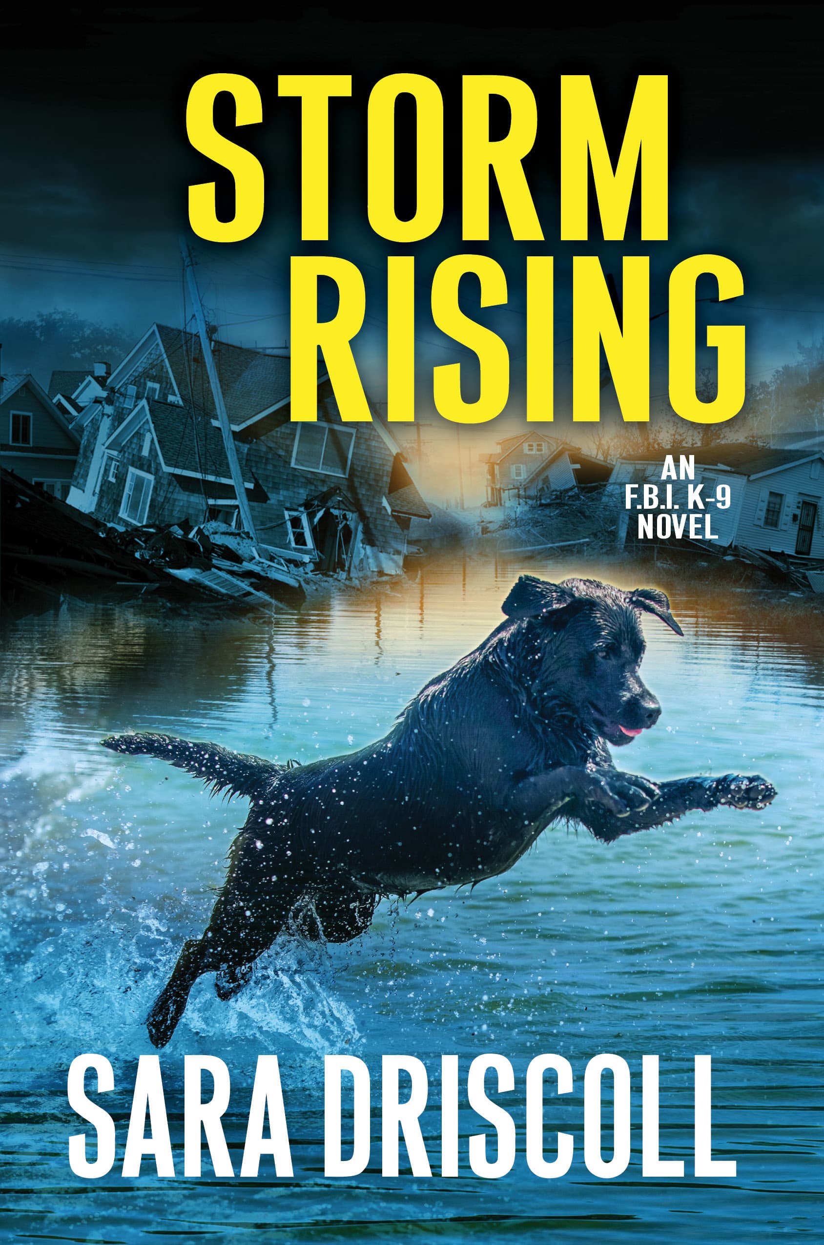 Storm Rising book cover