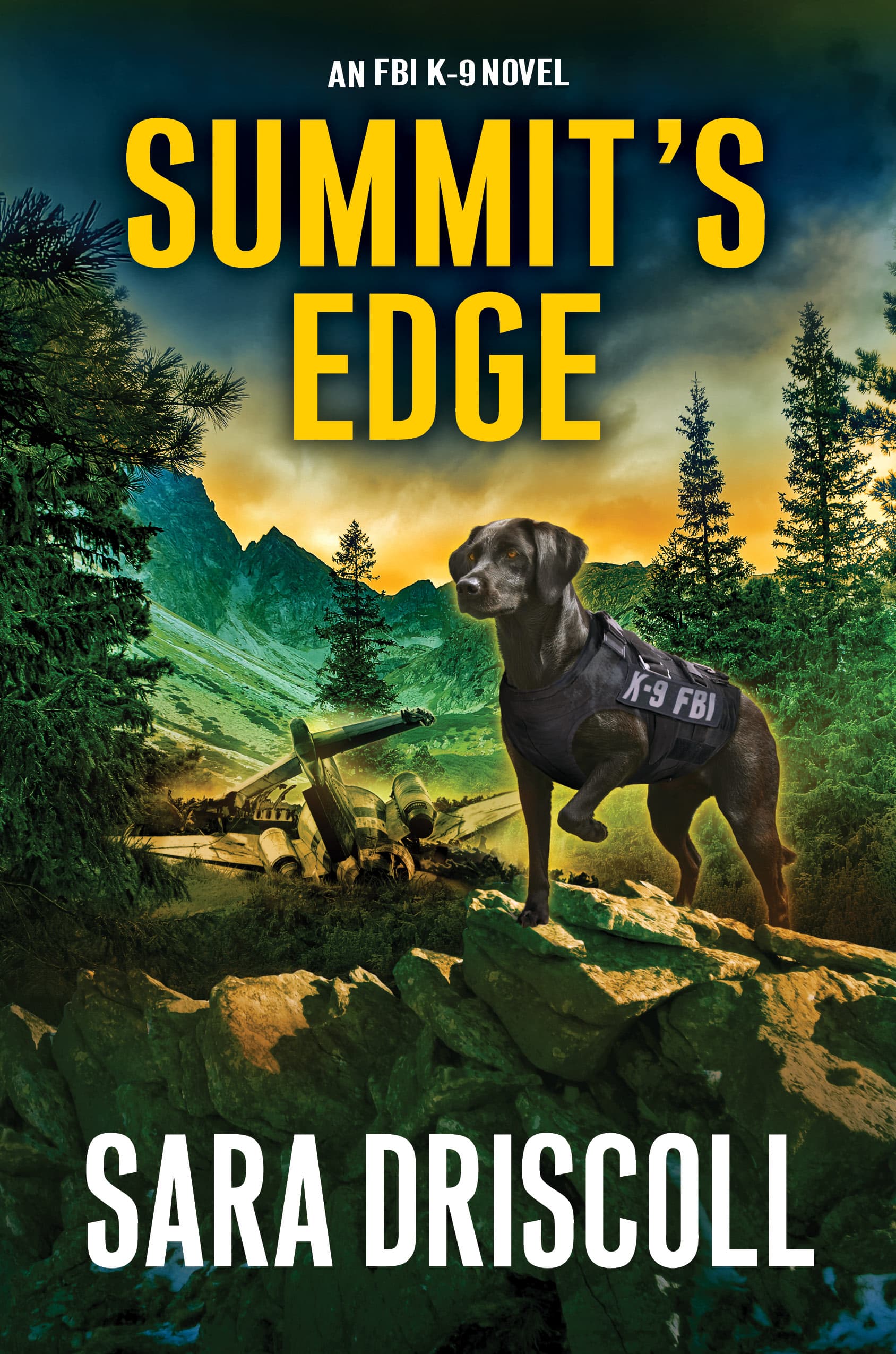 Summit’s Edge book cover