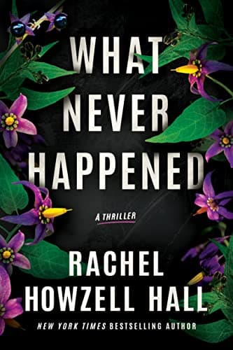 What Never Happened book cover