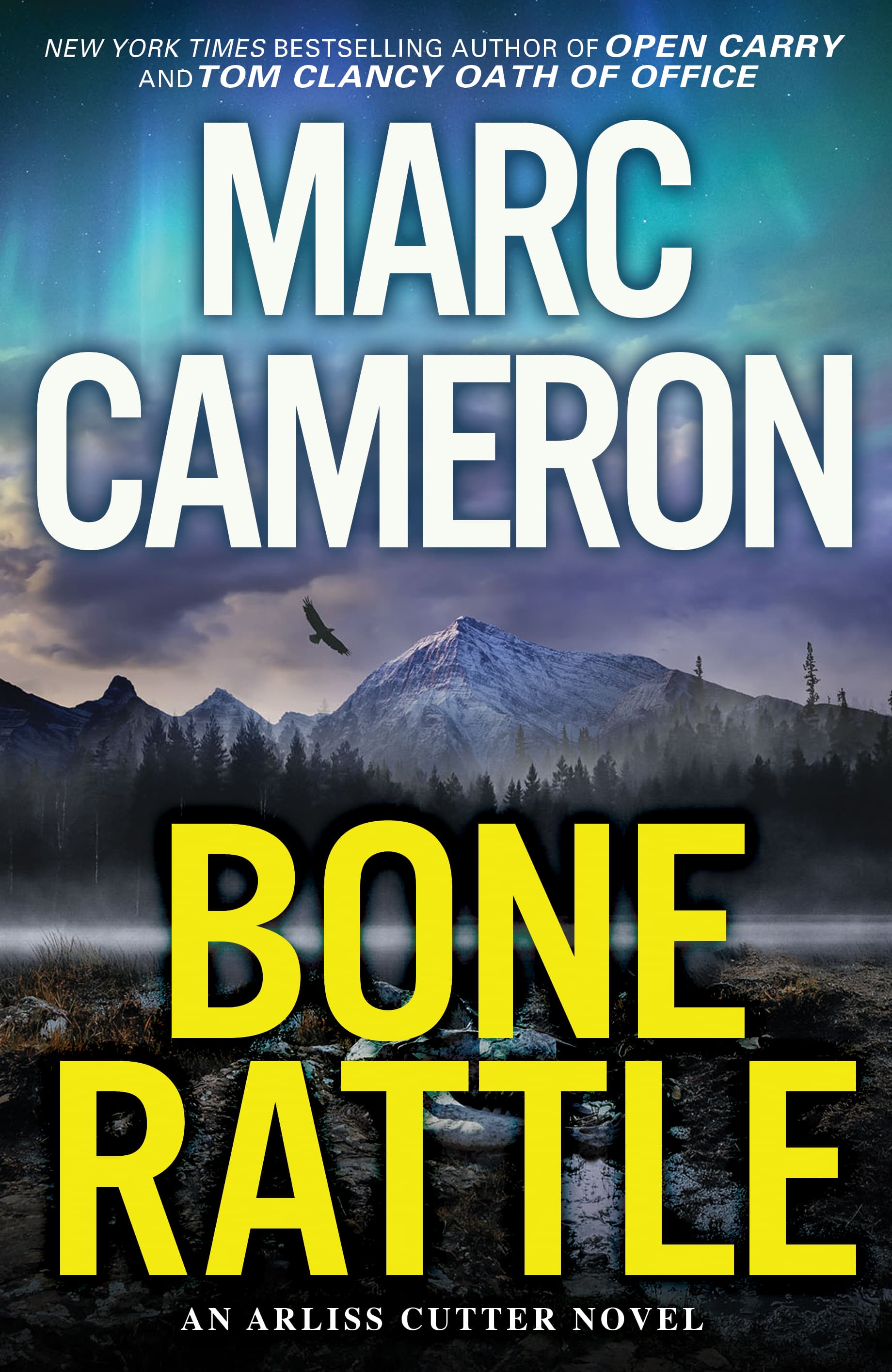 Bone Rattle book cover