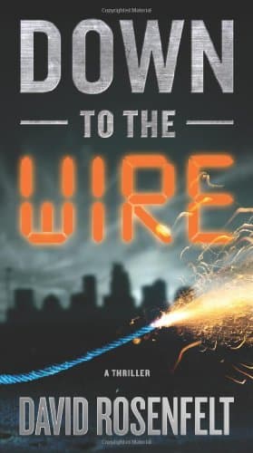 Down to the Wire book cover