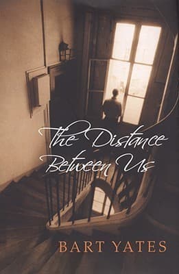 The Distance Between Us book cover