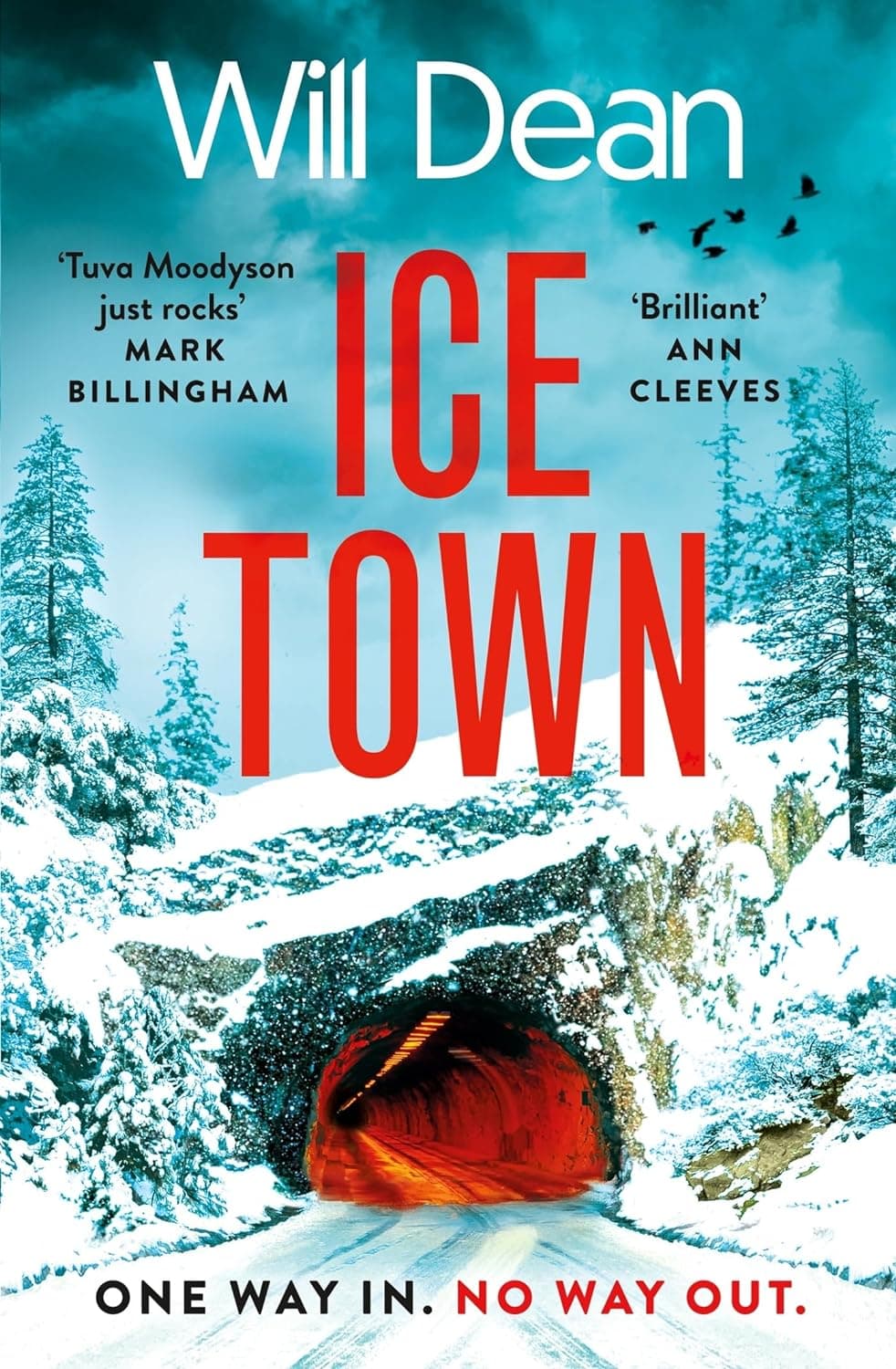 Ice Town book cover