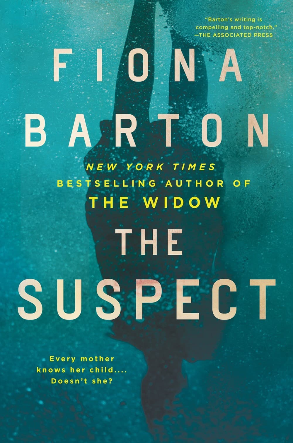 The Suspect book cover