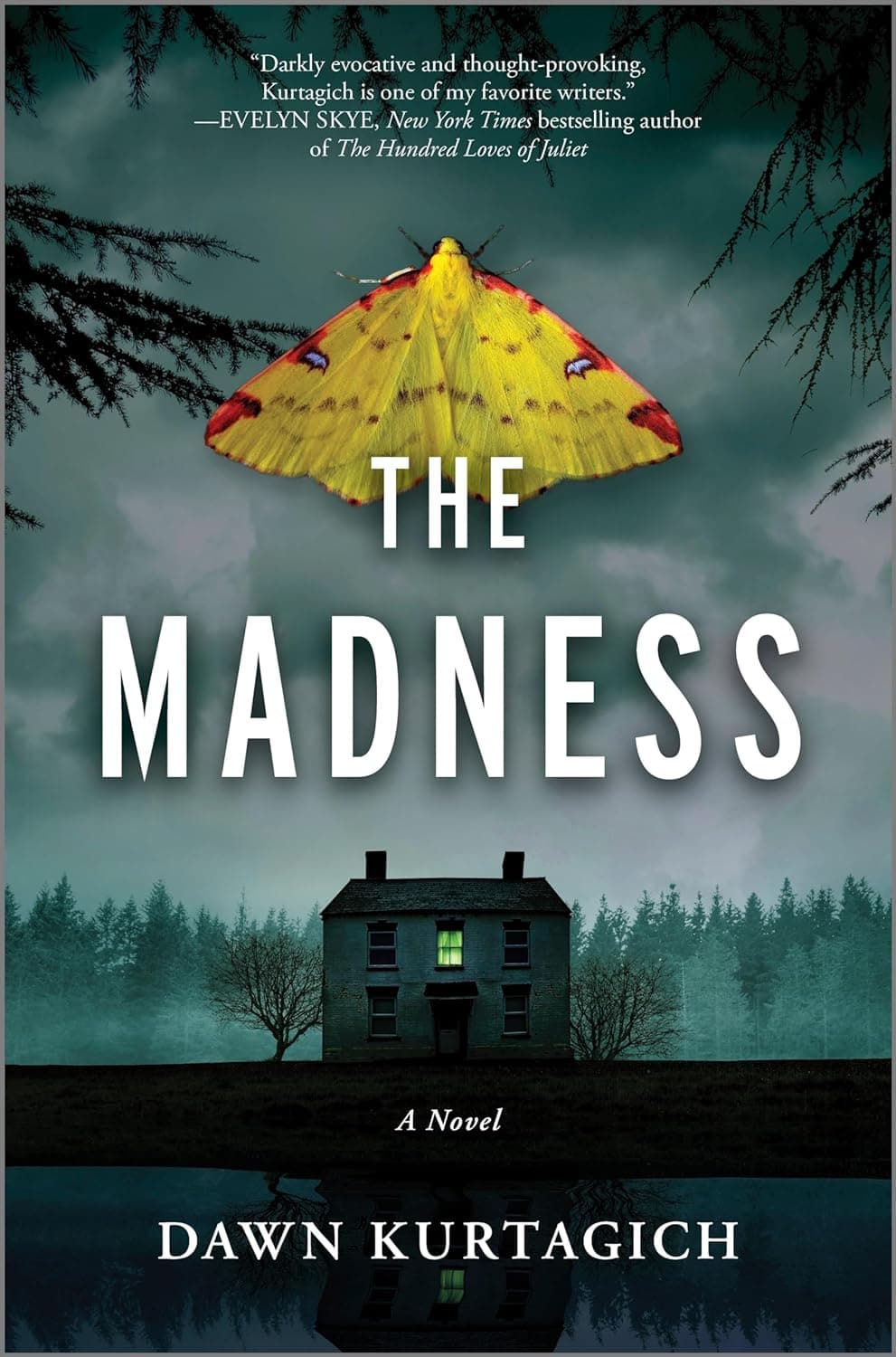 The Madness book cover