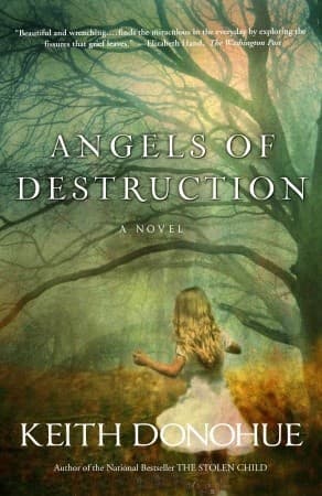 Angels of Destruction book cover