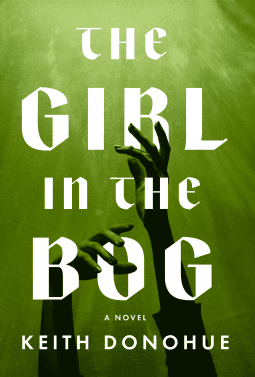 The Girl in the Bog book cover