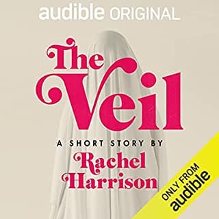 The Veil book cover