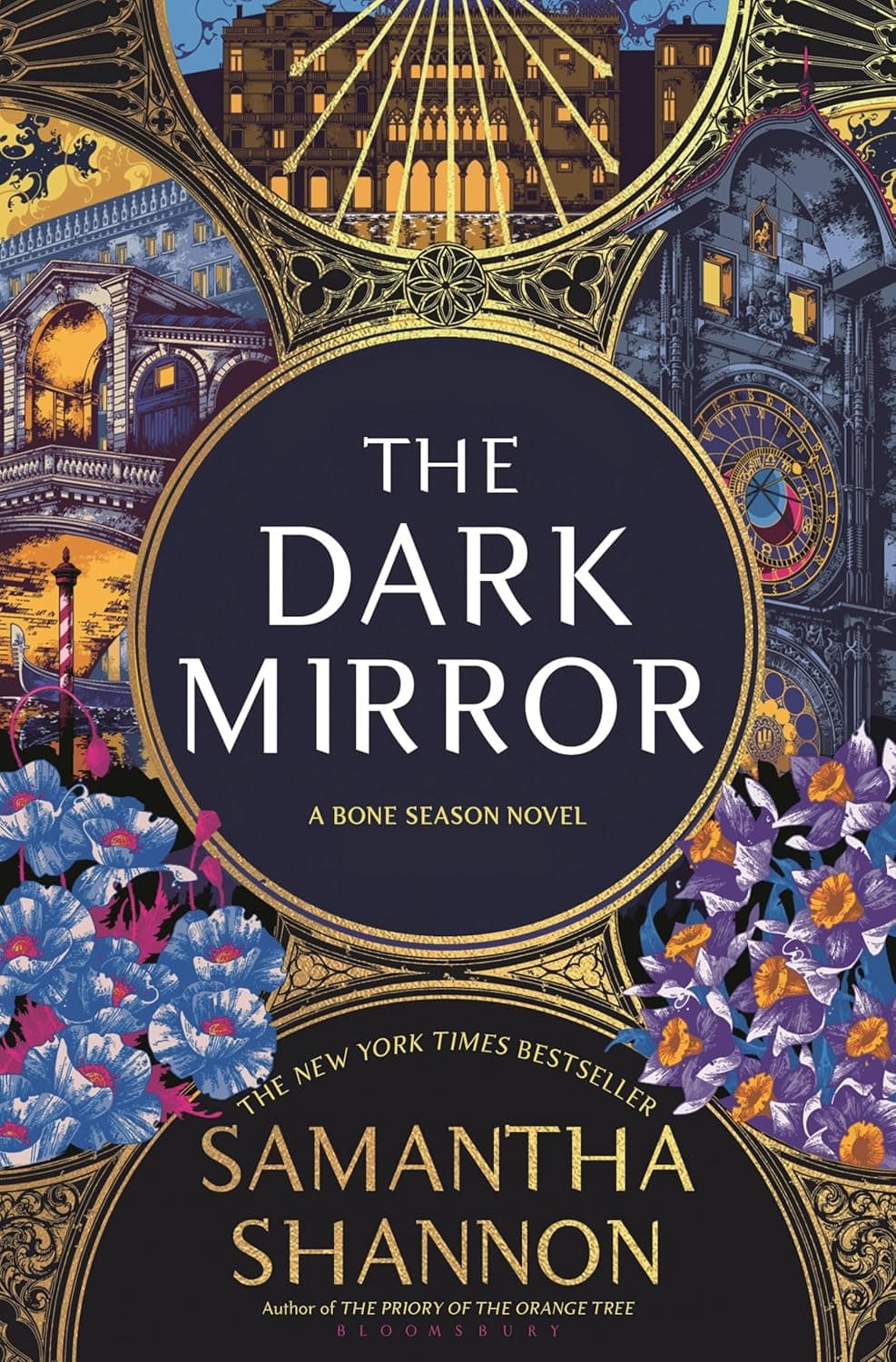 The Dark Mirror book cover