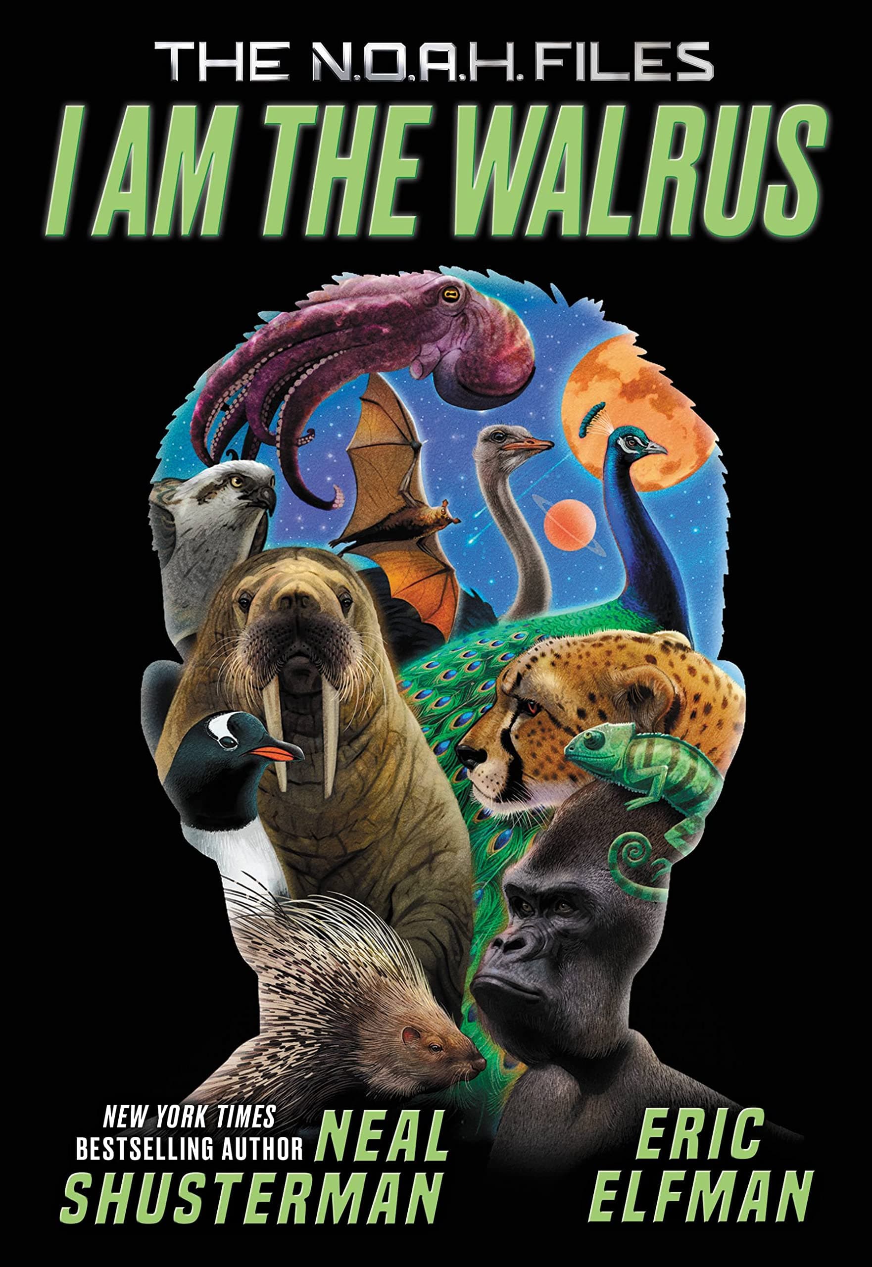 I Am the Walrus book cover