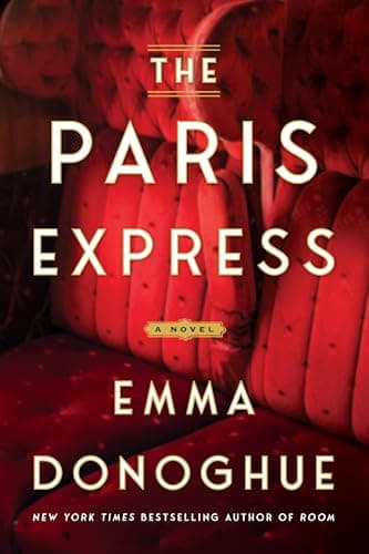 The Paris Express: A Novel book cover