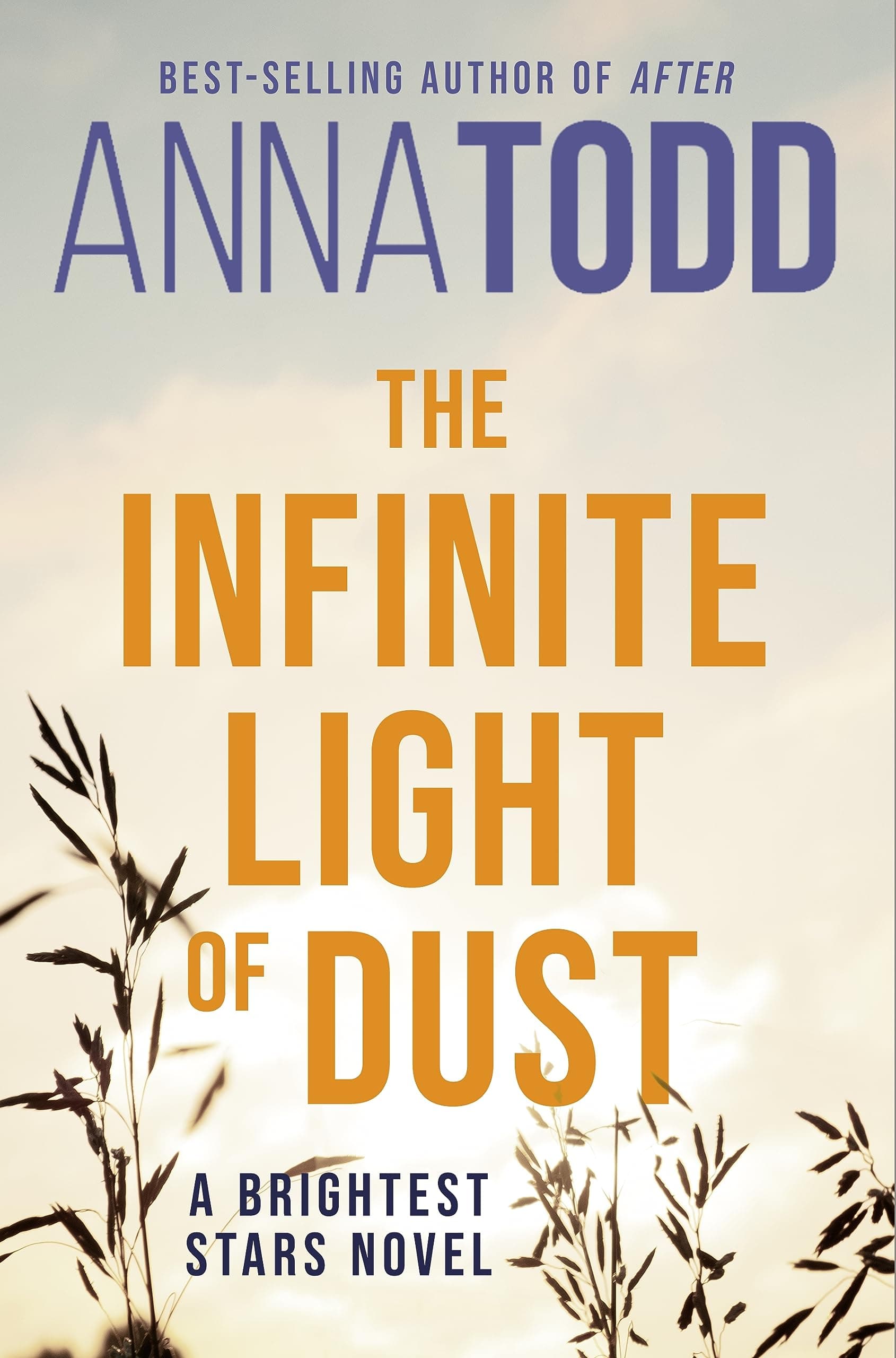 The Infinite Light of Dust book cover