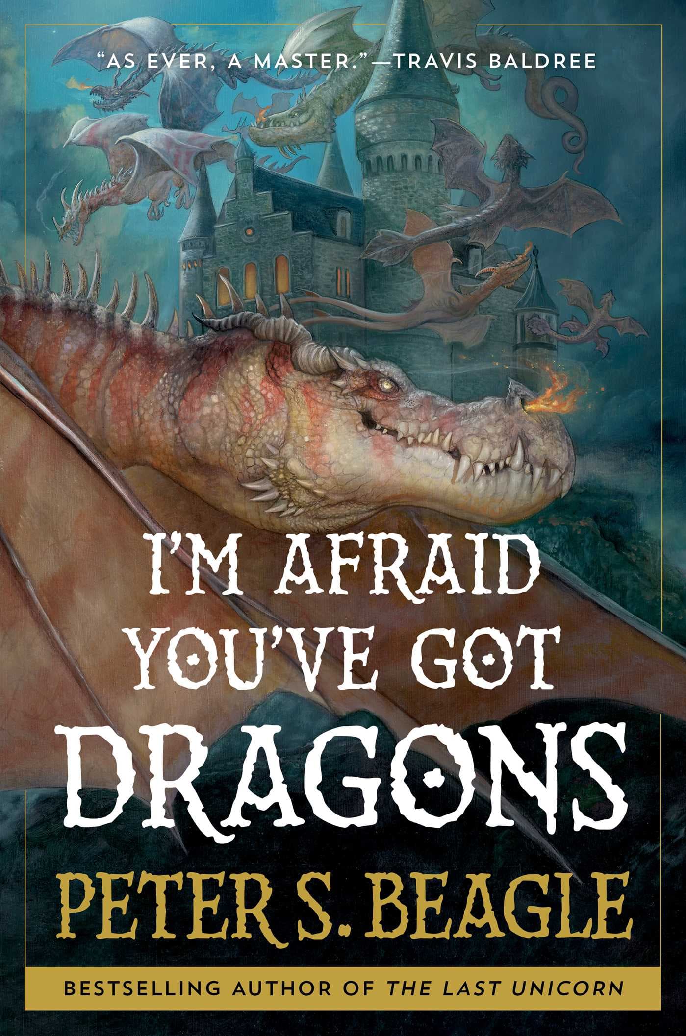 I'm Afraid You've Got Dragons book cover