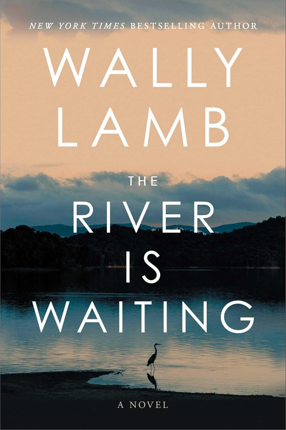 The River Is Waiting book cover