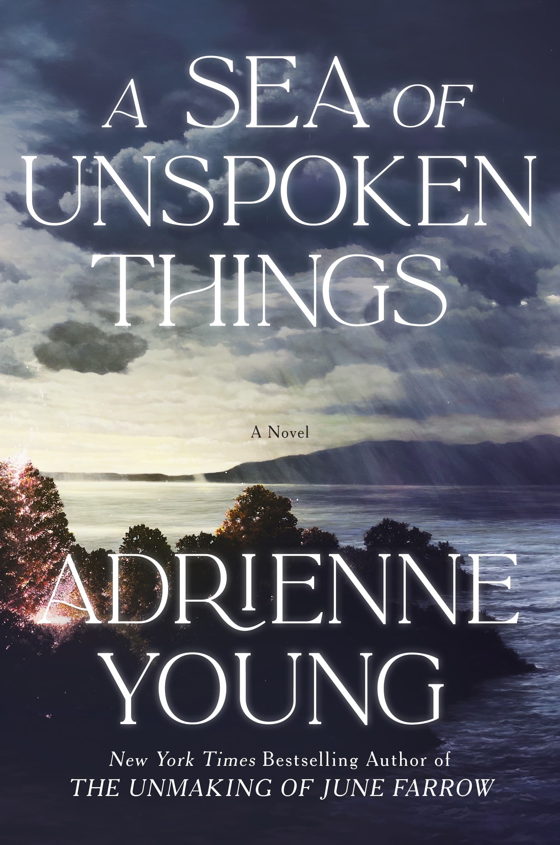 A Sea of Unspoken Things book cover