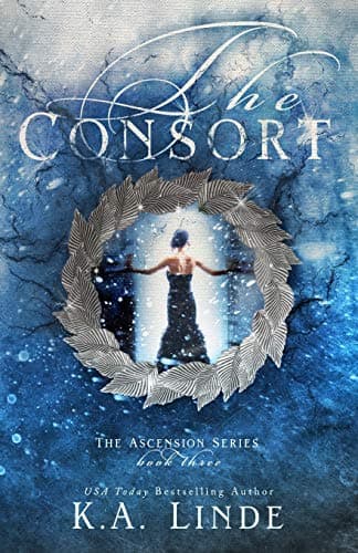 The Consort book cover