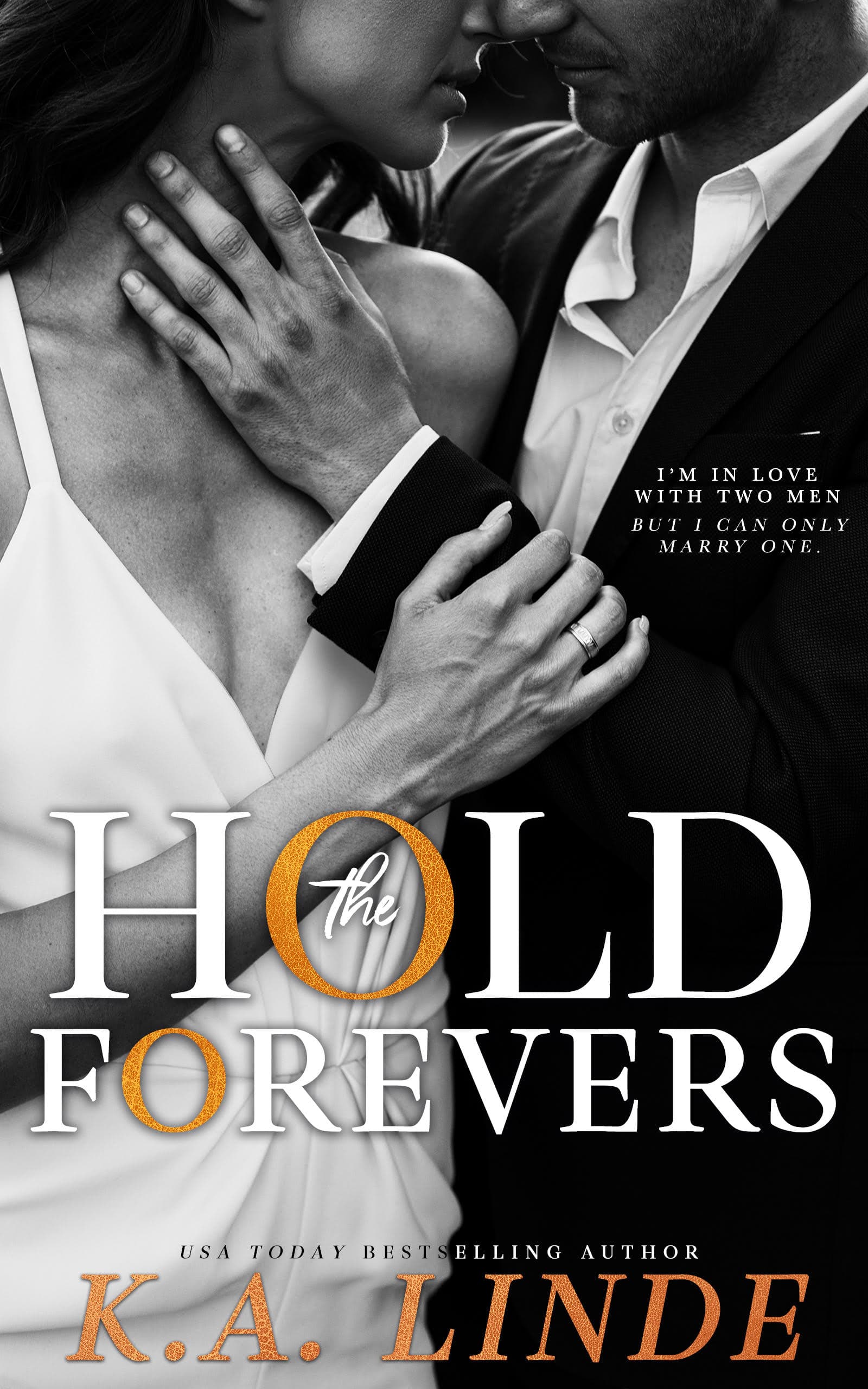 Hold the Forevers book cover