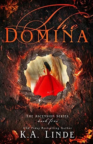 The Domina book cover