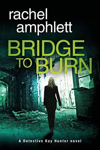 Bridge to Burn book cover