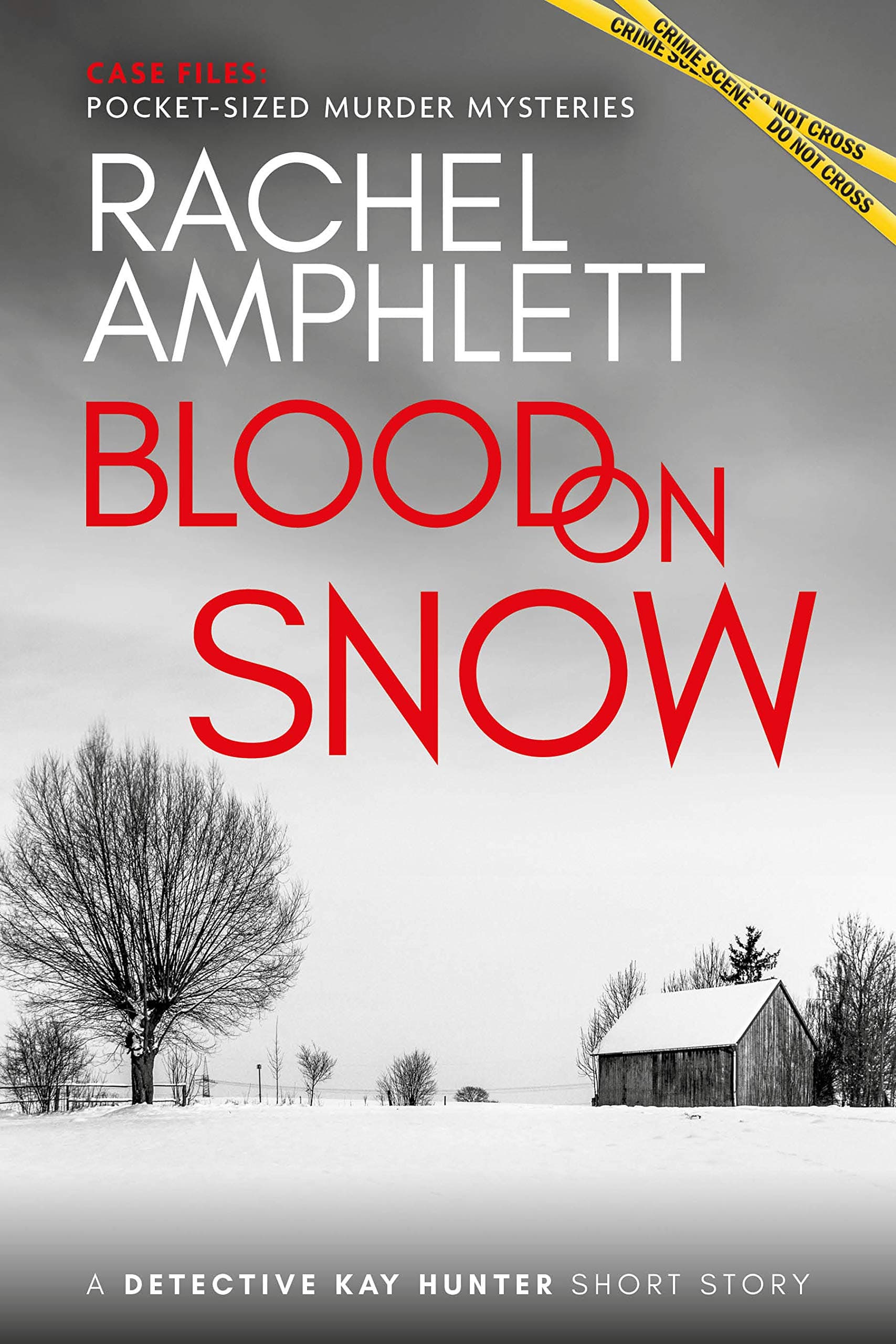 Blood on Snow book cover