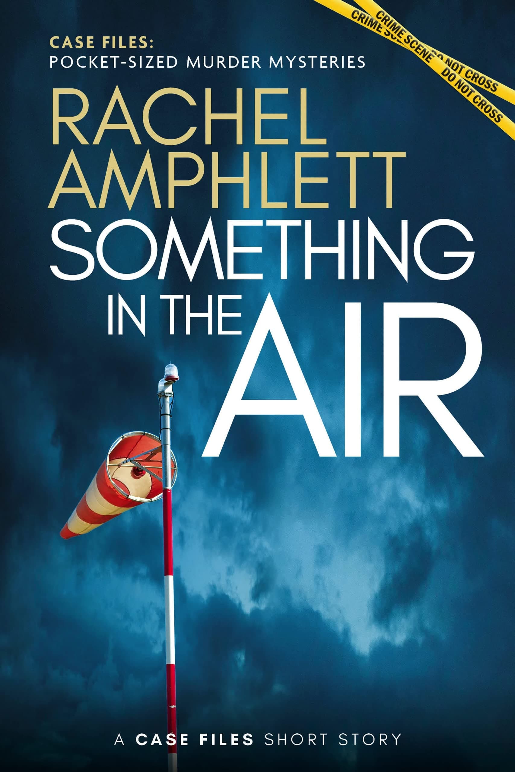 Something in the Air book cover