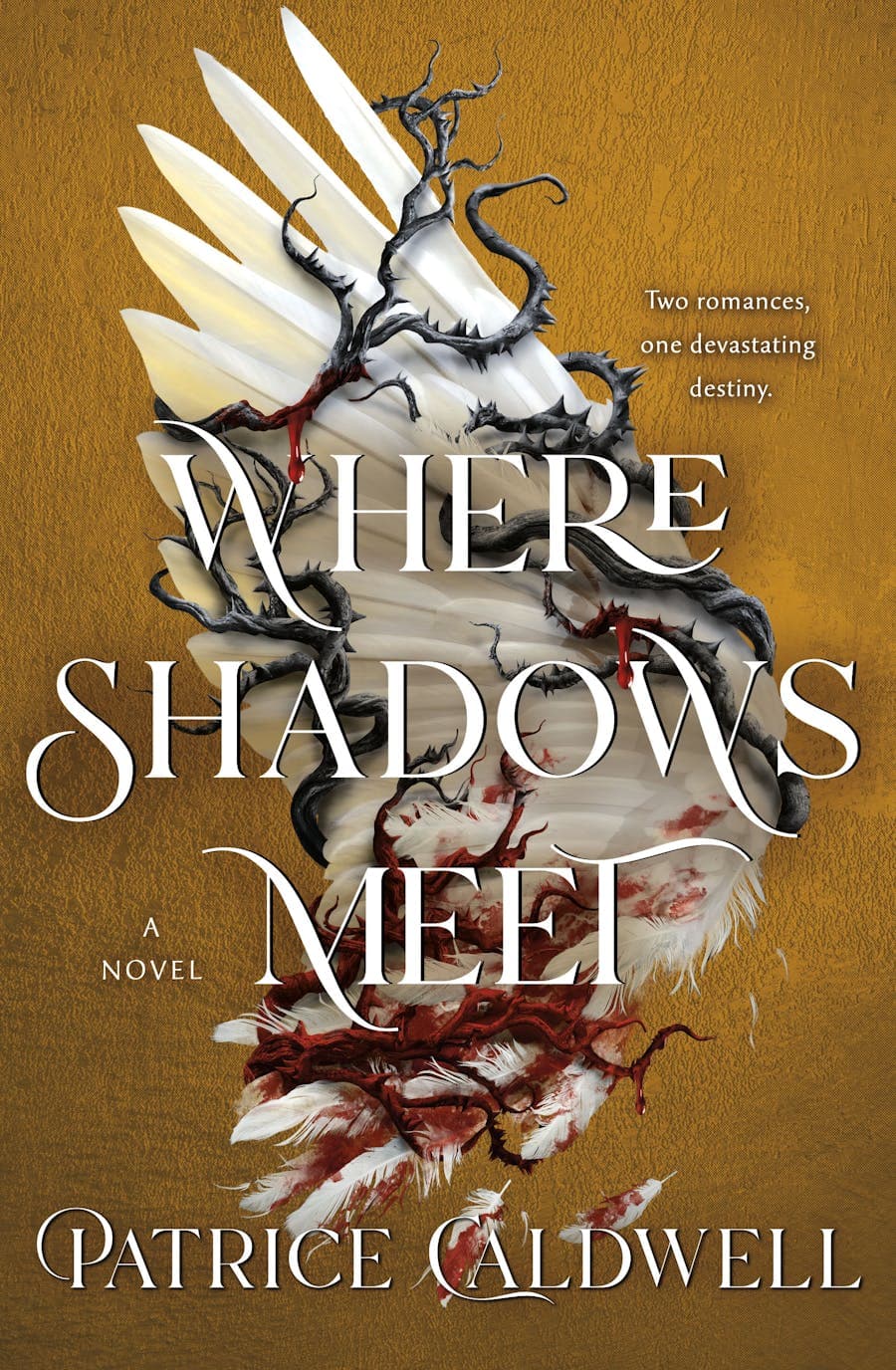 Where Shadows Meet book cover