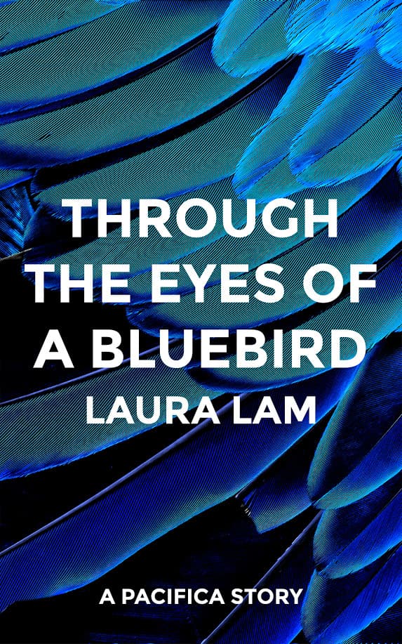 Through The Eyes of a Bluebird book cover