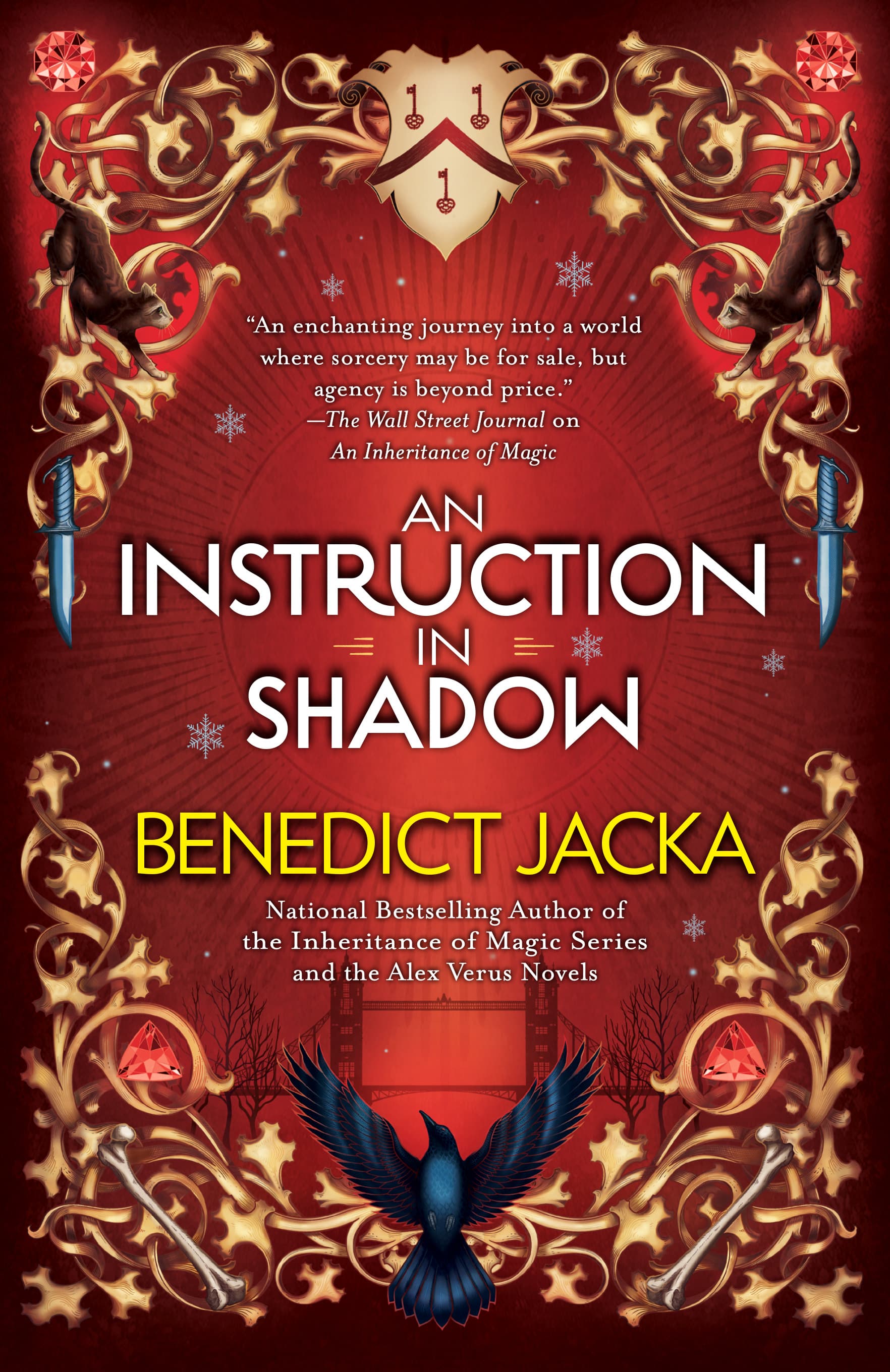 An Instruction in Shadow book cover