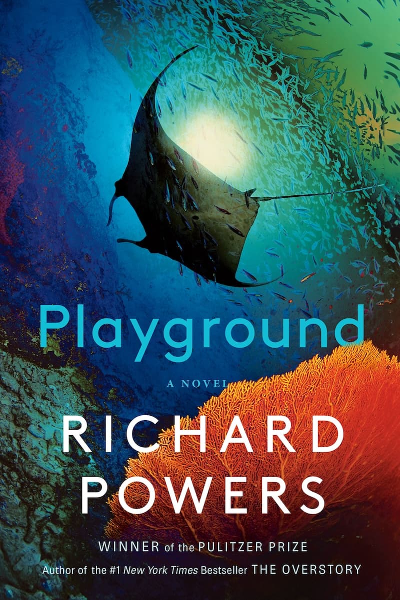 Playground book cover