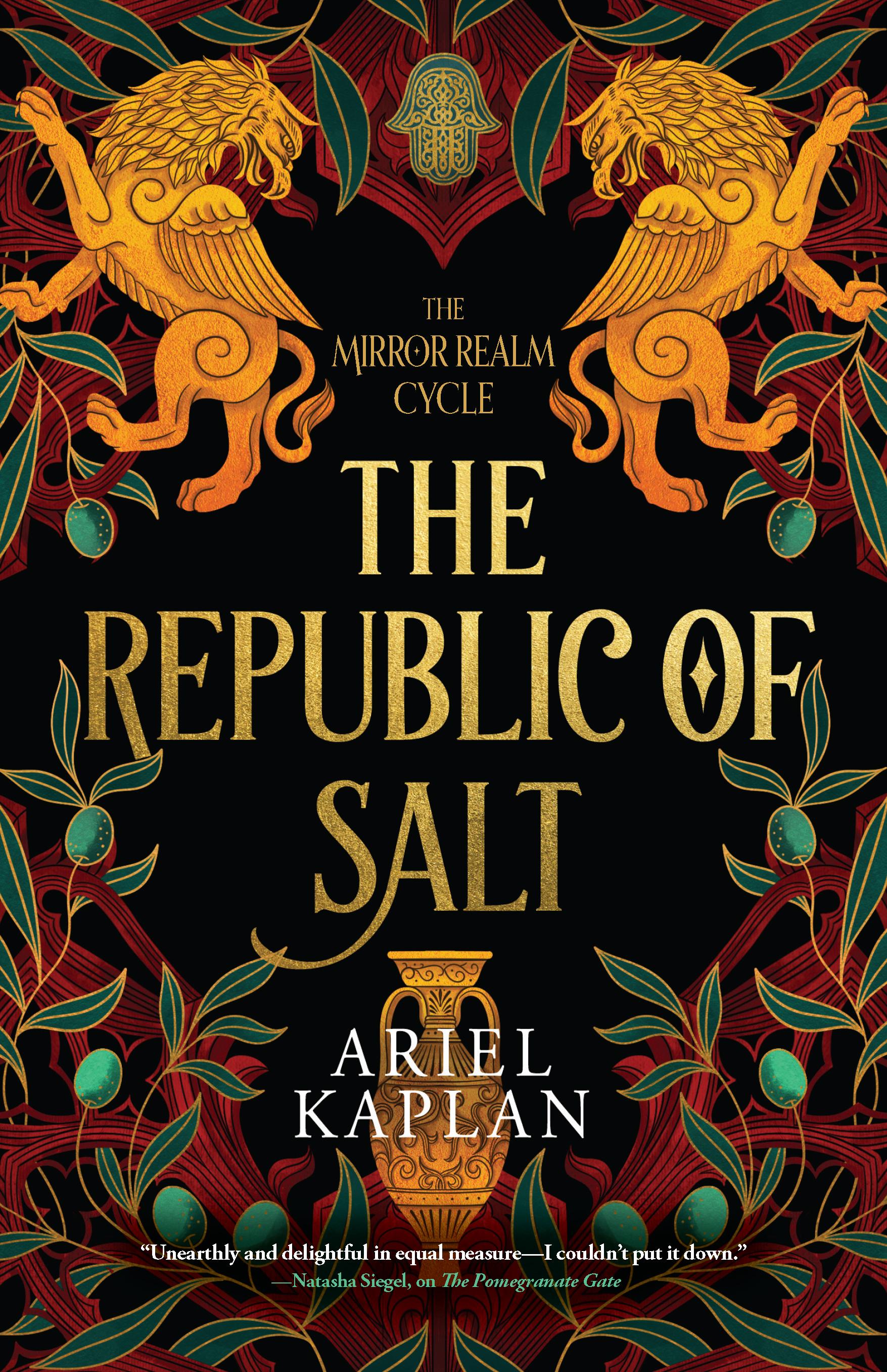 The Republic of Salt book cover